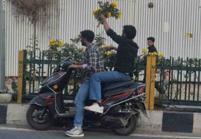 सहस्त्रधारा रोड पर डिवाइडर से फूल उखाड़ने की घटना का एमडीडीए ने लिया संज्ञान,फूल उखाड़ने वालों पर होगी कार्रवाई – बंशीधर तिवारी